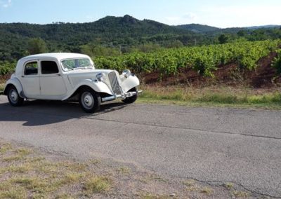Balade dans les vignobles