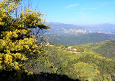 enTractTour route du mimosa