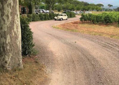 enTractTour route des vins Les demoiselles